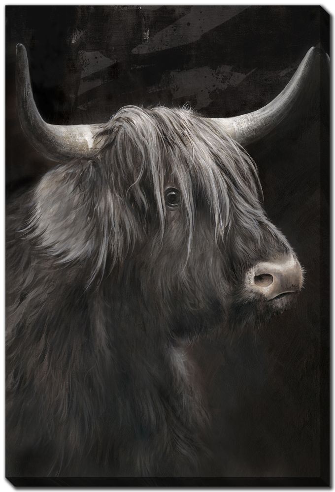 Bold Cow I Canvas Art 24" x 36"