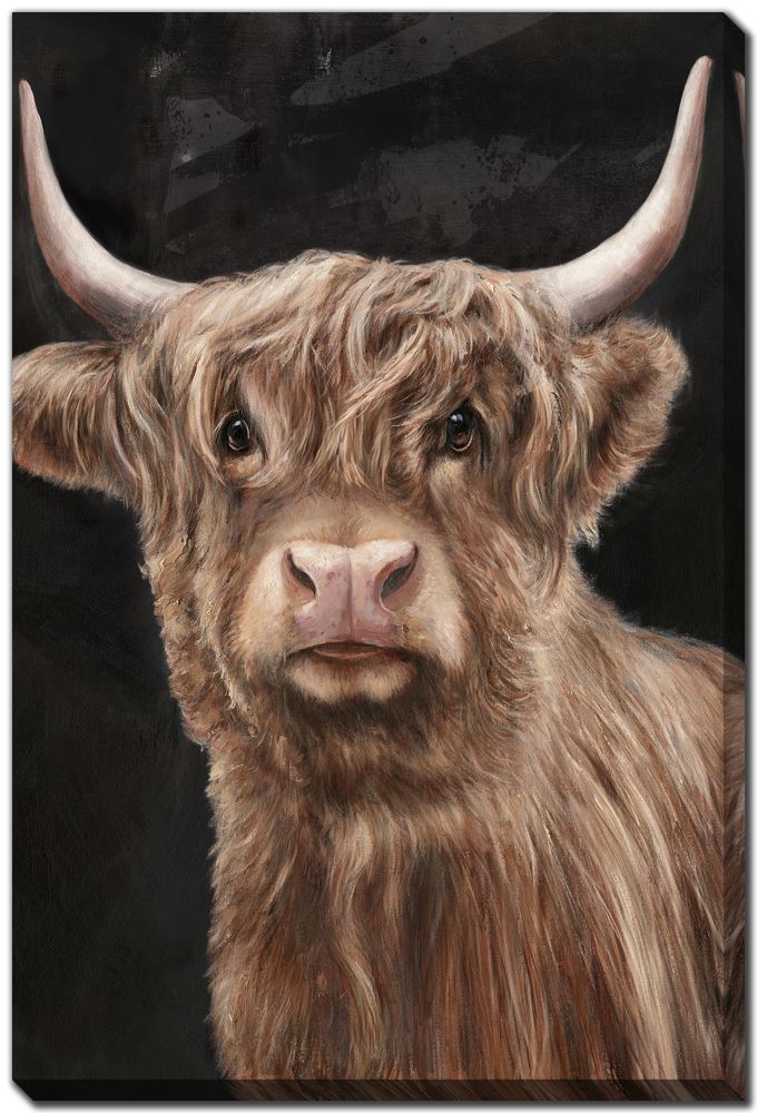 Bold Cow II Canvas Art 24" x 36"