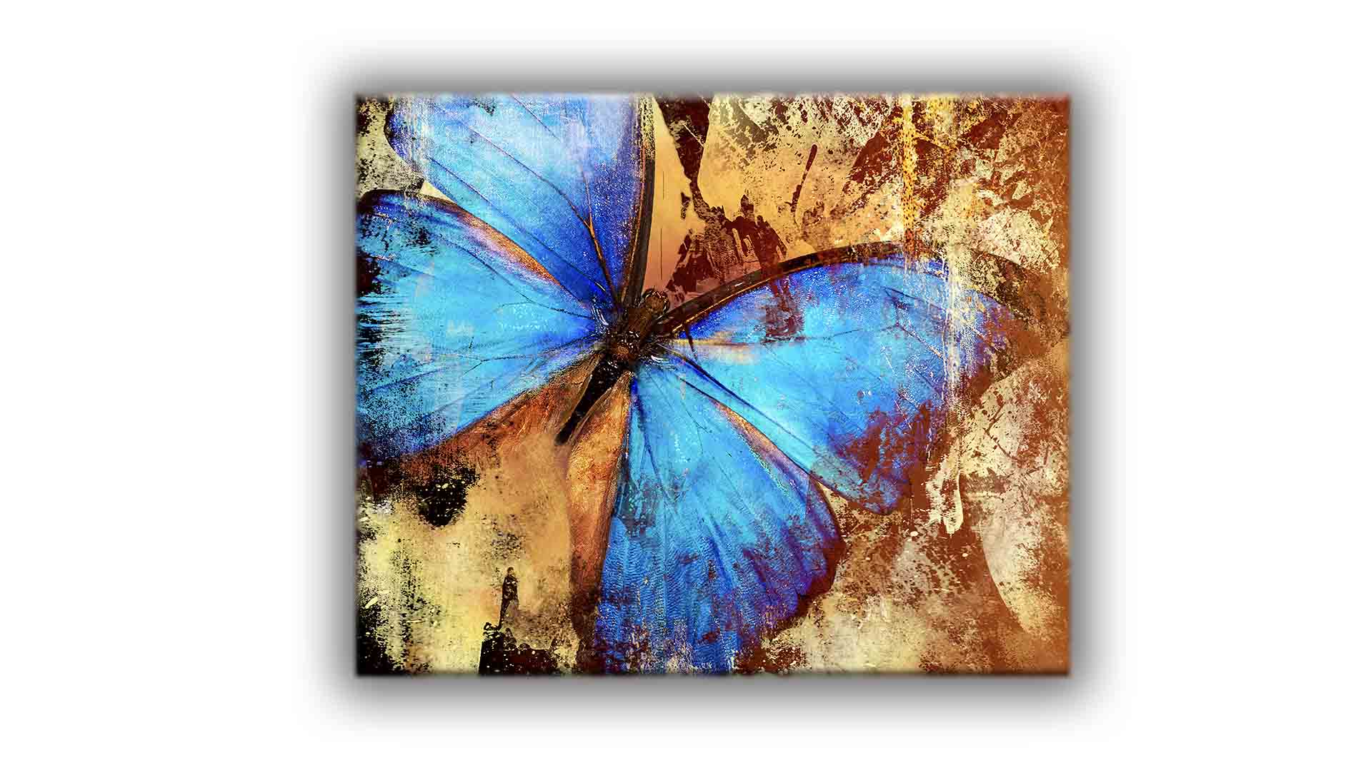 Butterfly Canvas Art 48" x 36"