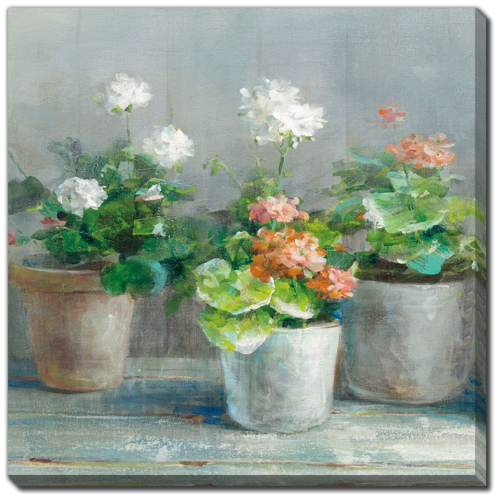 Farmhouse Geraniums II Canvas Art 24" x 24"