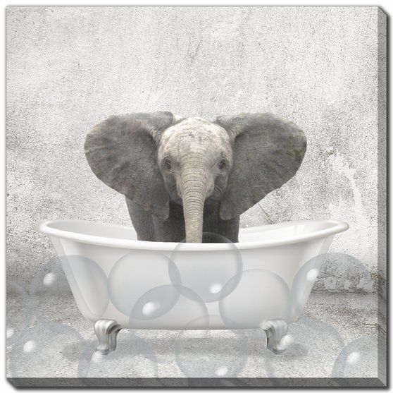 Baby Elephant Bath Canvas Art 18" x 18"