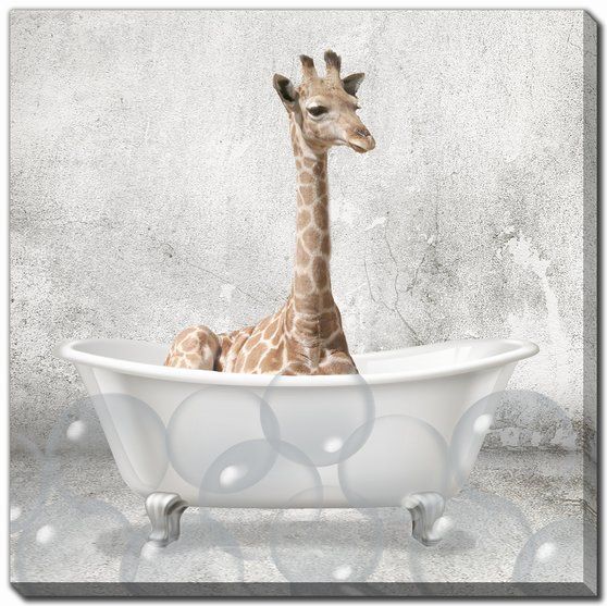 Baby Giraffe Bath Canvas Art 18" x 18"
