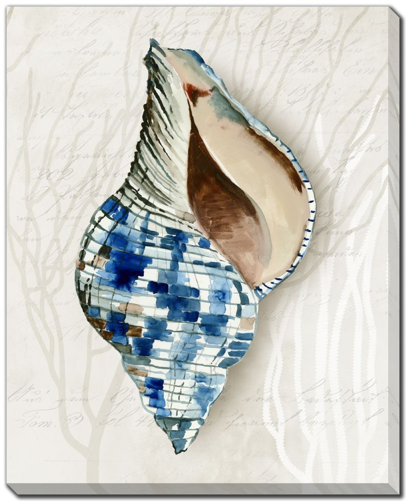 Blue Shell Series 2 PC canvas art