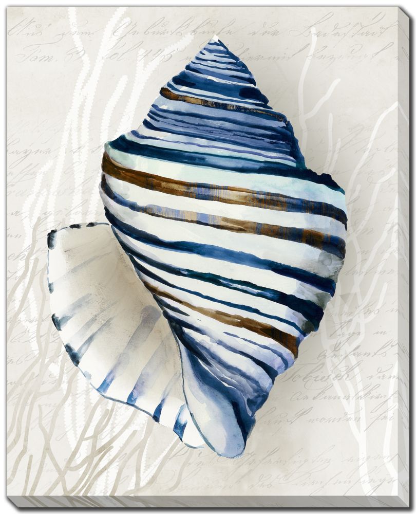 Blue Shell Series 2 PC canvas art