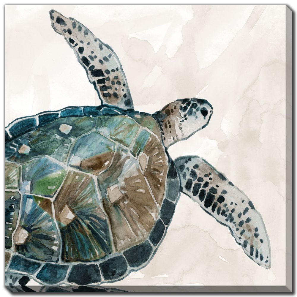 Neutral Sea Turtle 2 PC canvas art