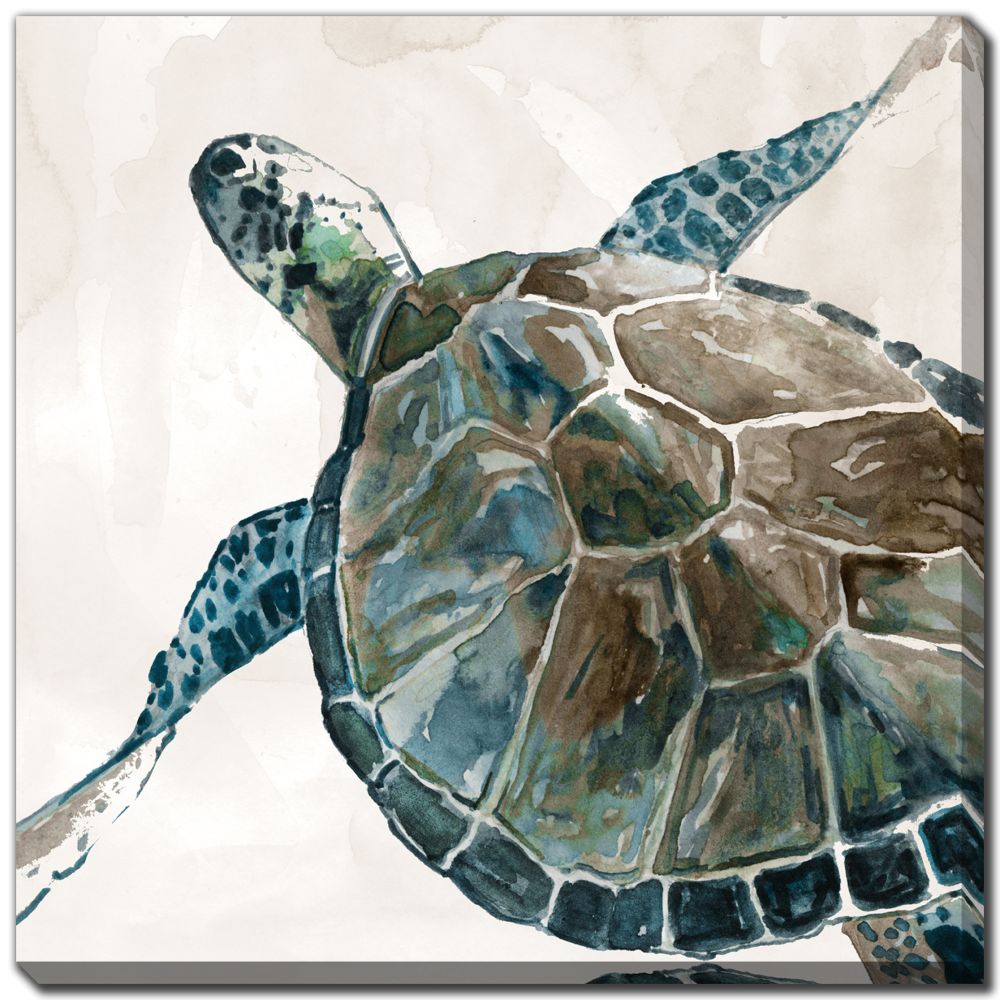 Neutral Sea Turtle 2 PC canvas art