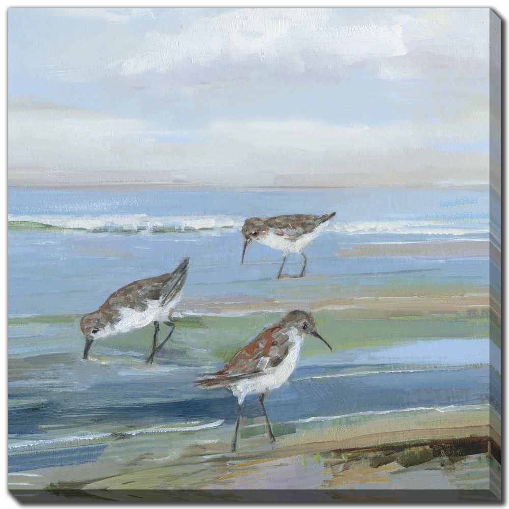 Seabird Beach 2 PC canvas art