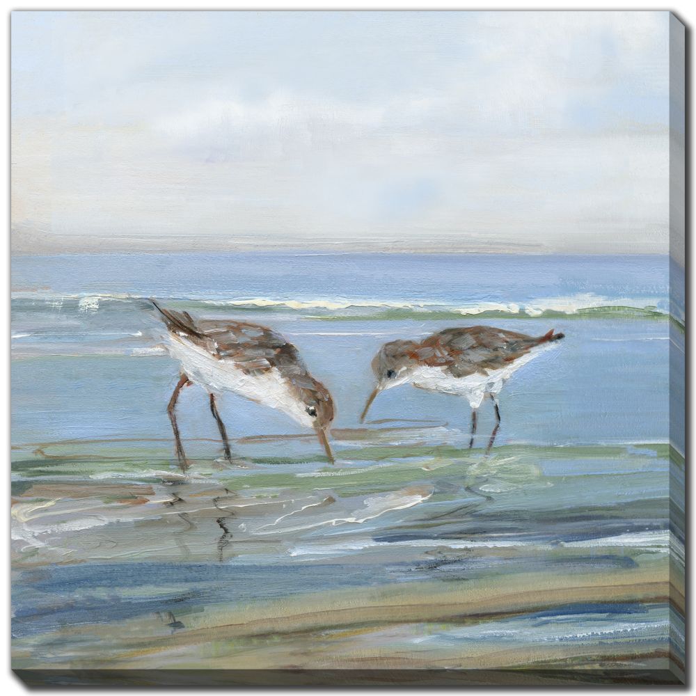 Seabird Beach 2 PC canvas art