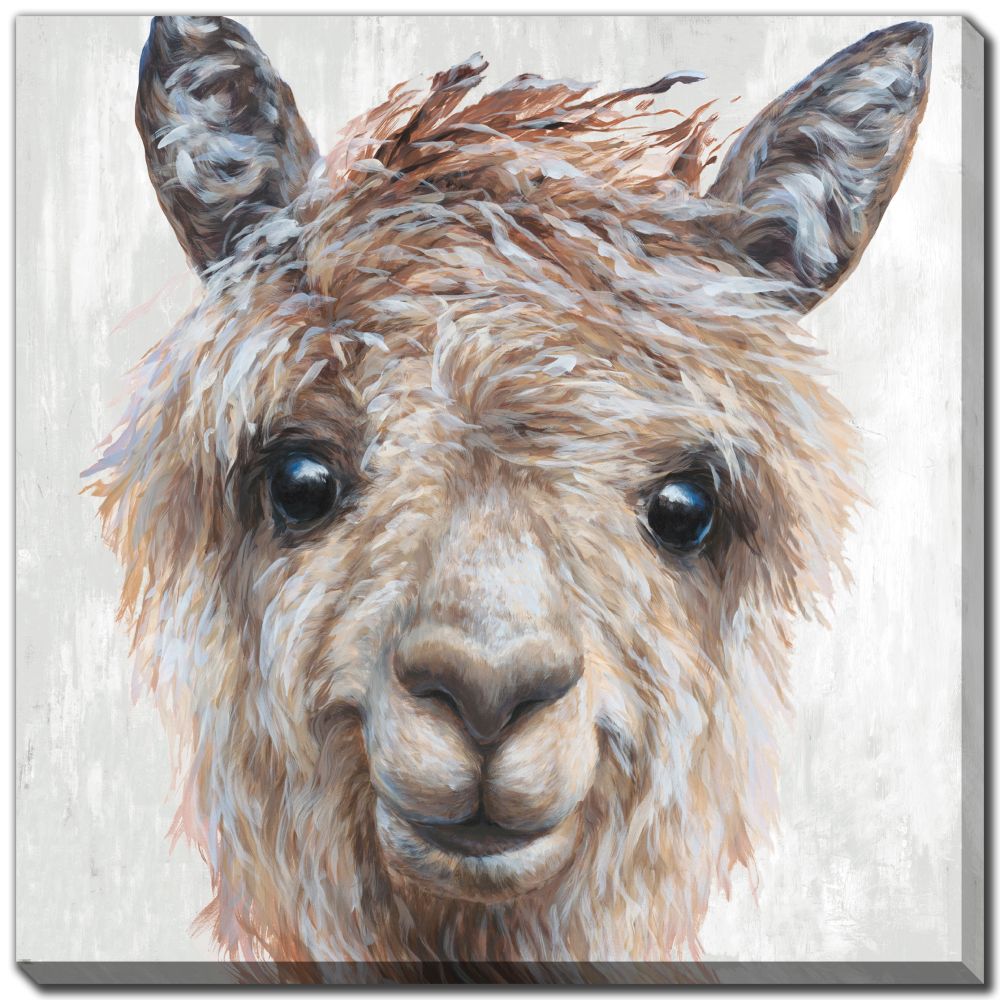 Alpaca 2 PC canvas art