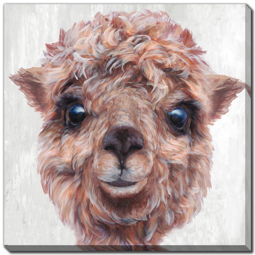 Alpaca 2 PC canvas art