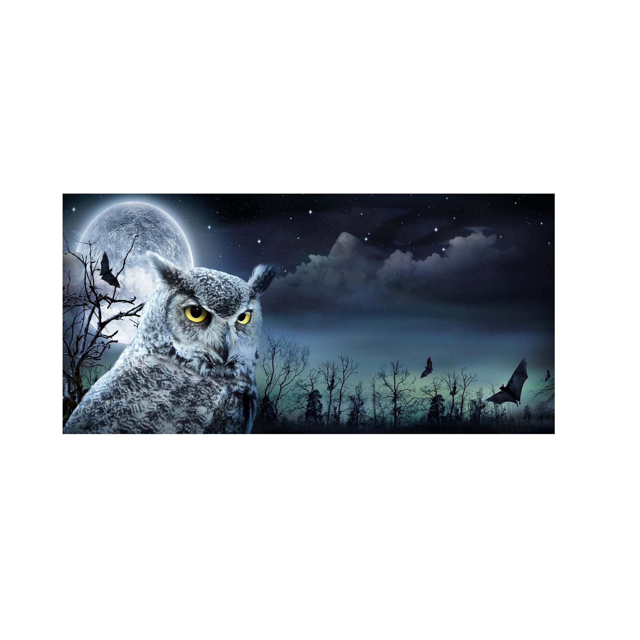 High Quality Art Print on Stretched Canvas of Night Owl