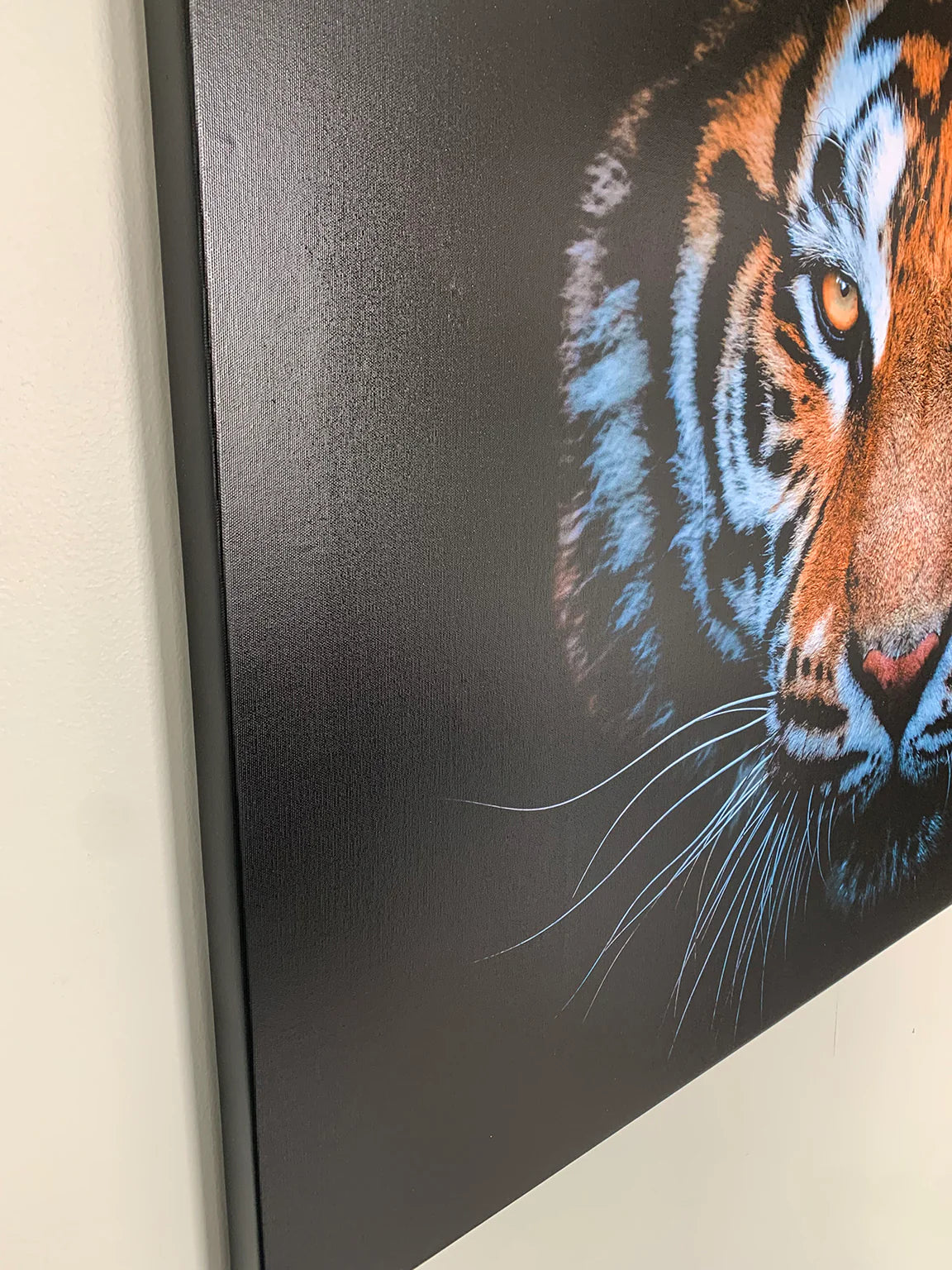 Hi Res Tiger Head Canvas Art 48" x 36"