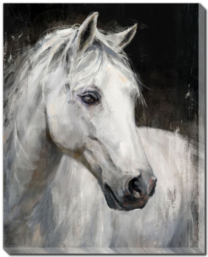 White Stallion Canvas Art 32" x 40"