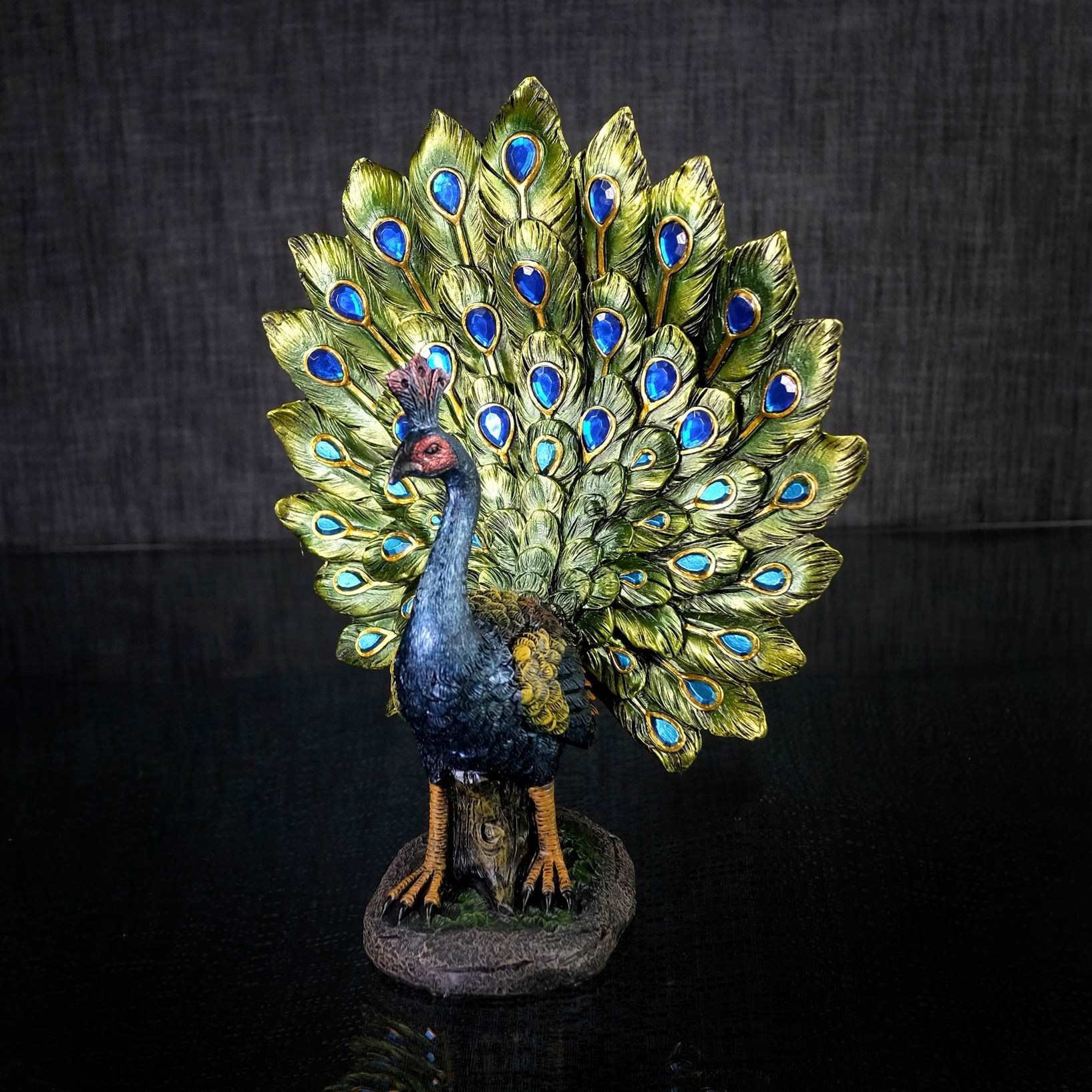 peacock Tail Displayed