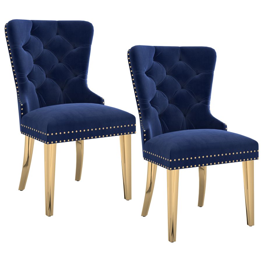 Mizal Side Chair, Set of 2 in Navy and Gold 202-629NAV