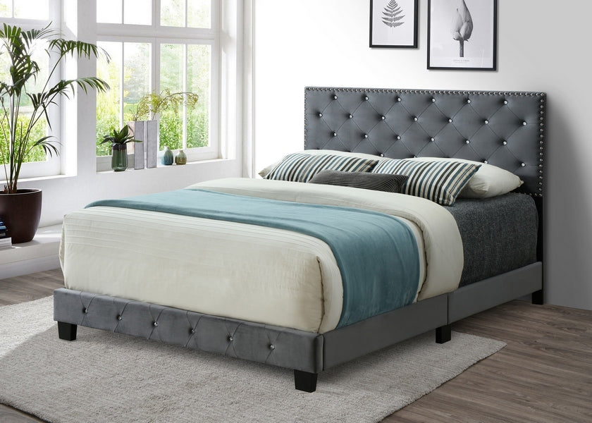 Grey Velvet Bed with Nailhead - 5650
